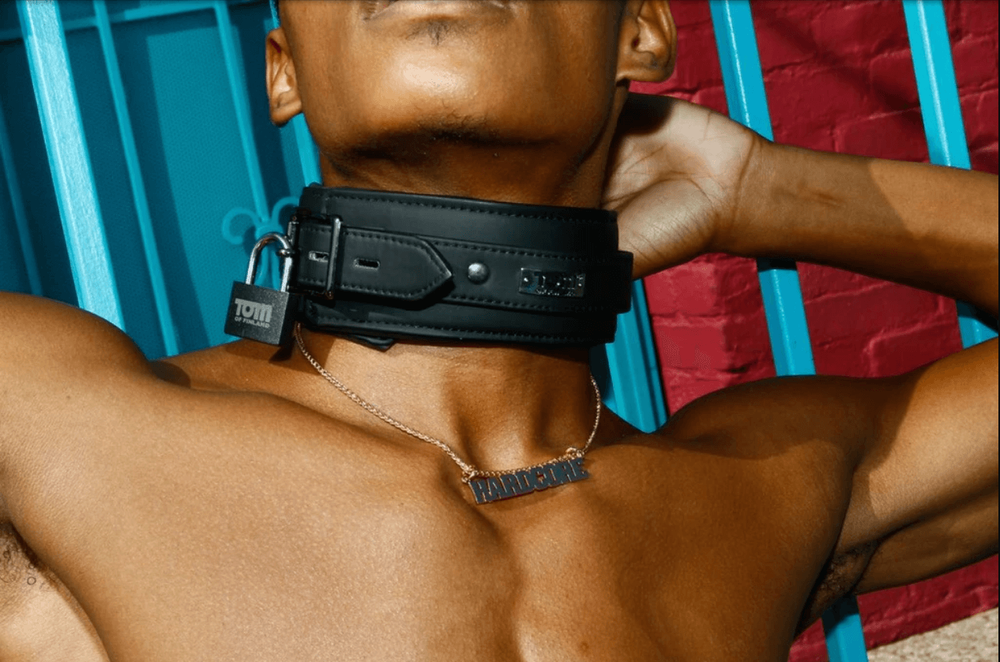 large_Collars.png