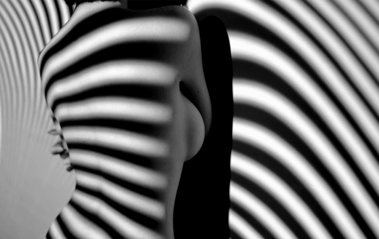 5 Sexy Body Stockings